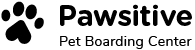 https://www.pushistik.pro/wp-content/uploads/2019/07/logo_orange.png